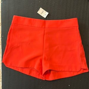 J crew women’s shorts